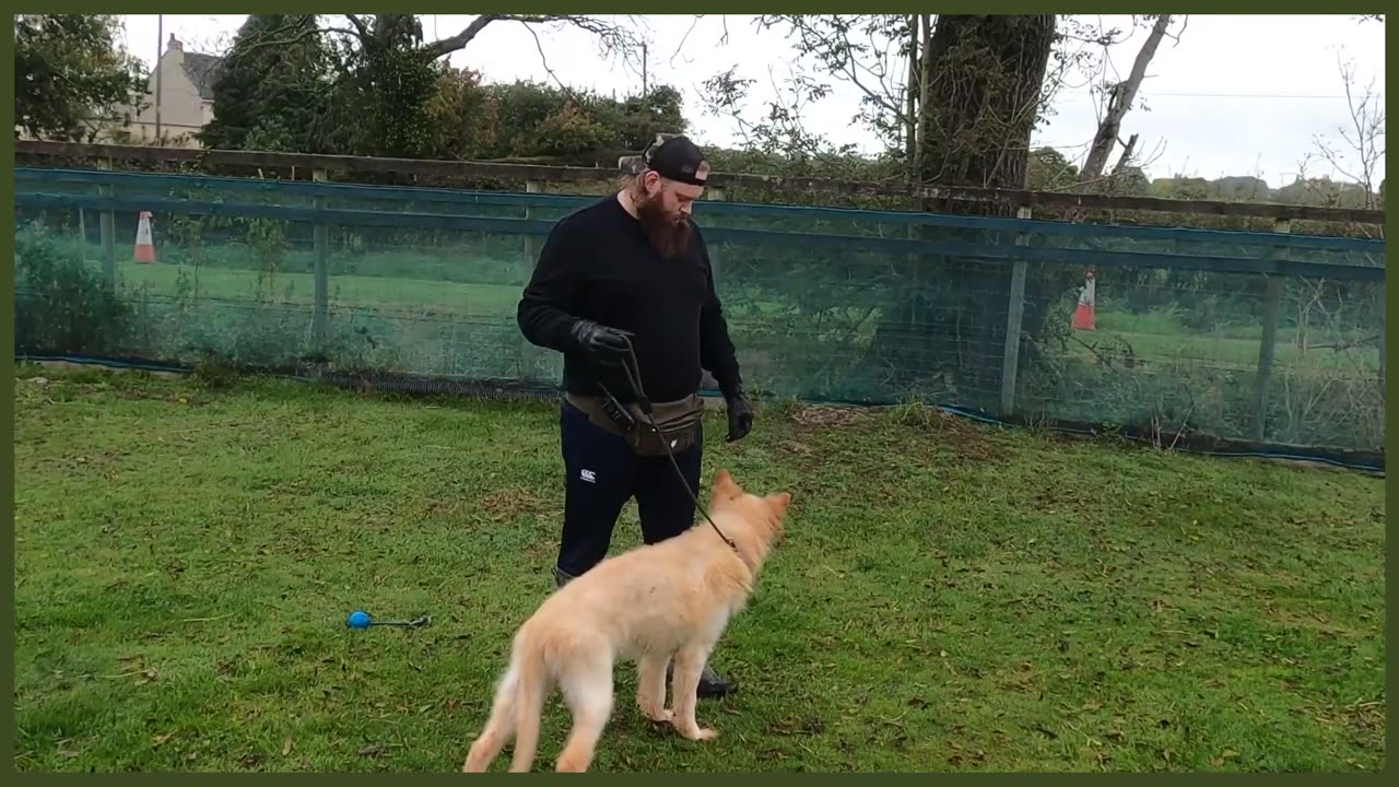 AGGRESSIVE GERMAN SHEPHERD TRIES TO BITE DOG TRAINER