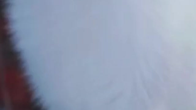 CuteArcticFoxEditMyBestEditSoFar=)