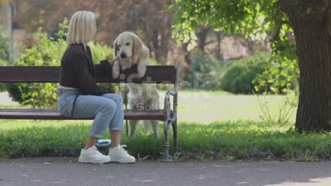 Cheerful young woman having fun playing with her dog at the public park.