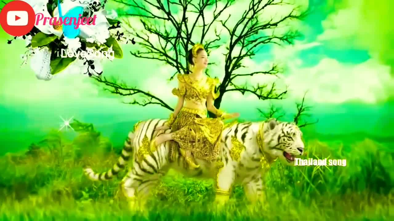 Queen Of Animals Thailand's Beautiful videos by Prasenjeet meshram