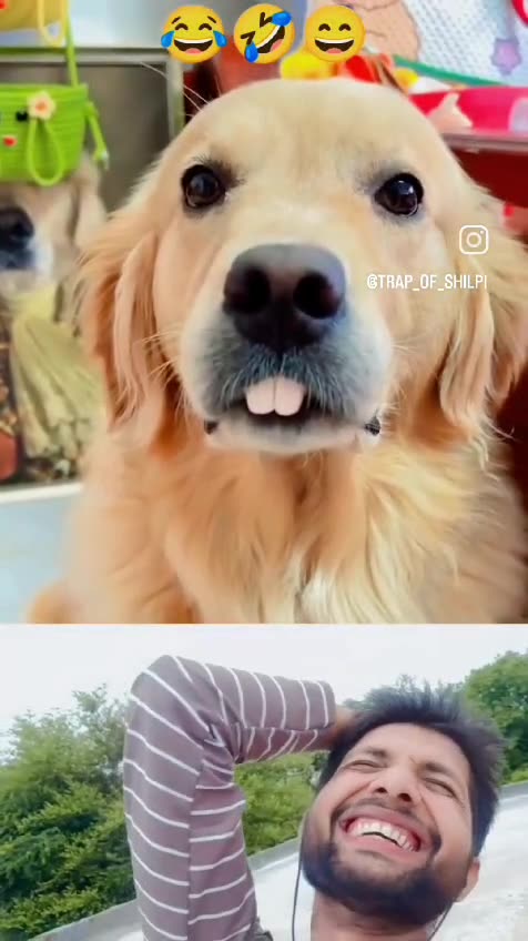 Want your dog to turn into a rabbit? See how cute it gets! Make sure to check it out! 🐶🦷😂