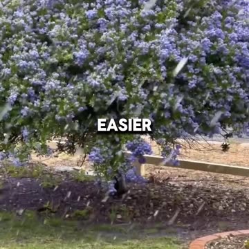 As October unfolds, I look forward to embracing new opportunities and experiences with open arms