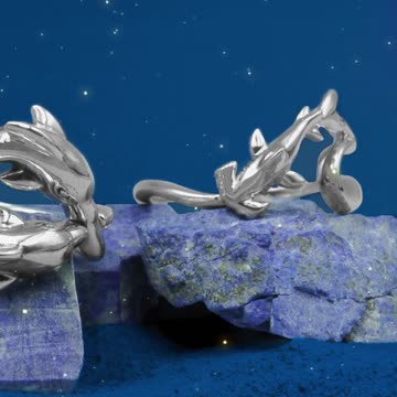 Dive into Connection: Our Dolphin Bond Ring