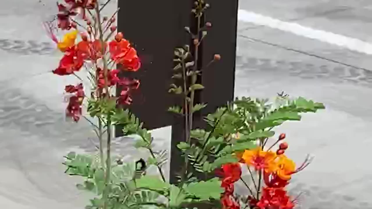 Roadrunner sauntering across a parking lot