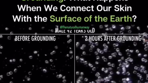 We Need To Touch The Earth