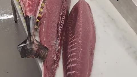 Most Satisfied Japanese Tuna Cutting