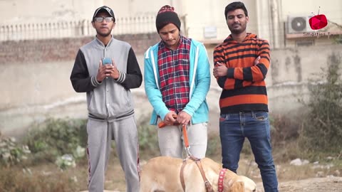 "Ultimate Real Dog Bark Prank: Barking Up a Storm!" 🐶😂