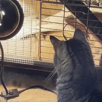 These two….. in love.