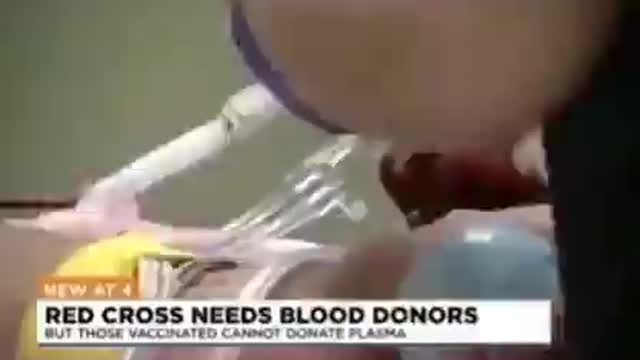 blood donors