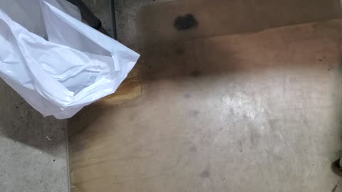 Weigh-In May 18, 2023