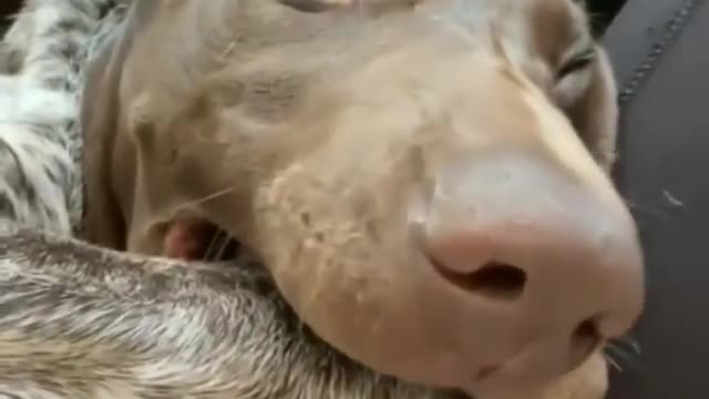 Nothing to see here. Move along.