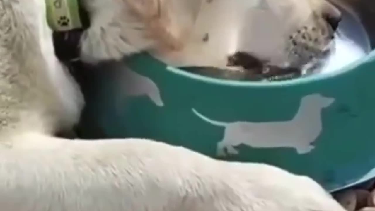 So funny