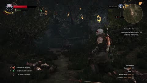 The Witcher 3 - Wild Hunt PS4 Fun with numbers