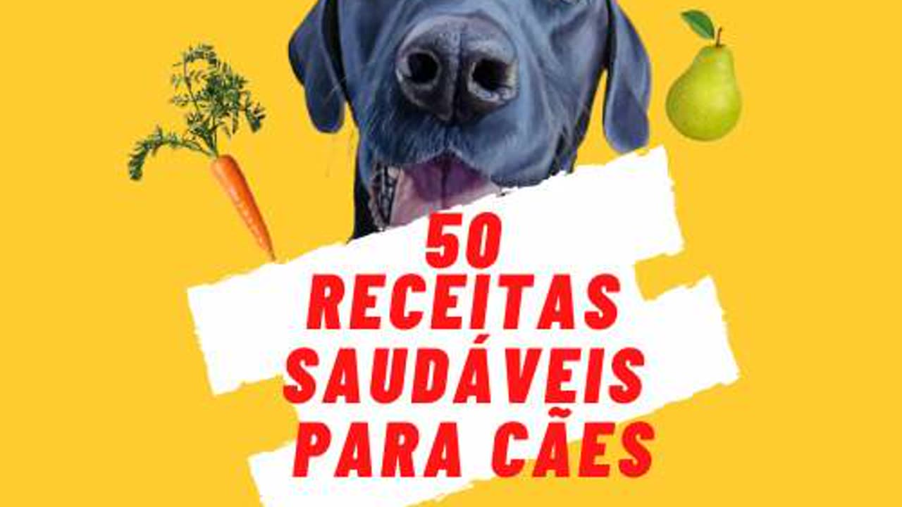 50 receitas saudaveis para caes #shorts