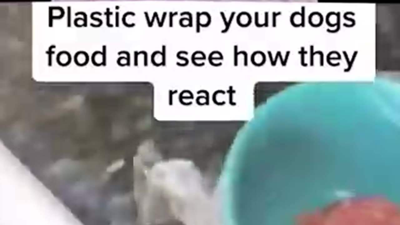 Try not to laugh