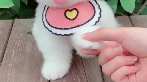 Tik Tok Chó Phốc Sóc Mini 😍 Funny and Cute Pomeranian623