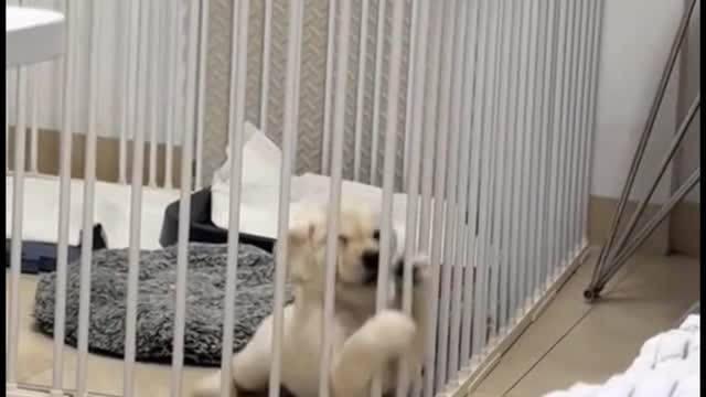 He couldn't get out, and then he had this look on his face