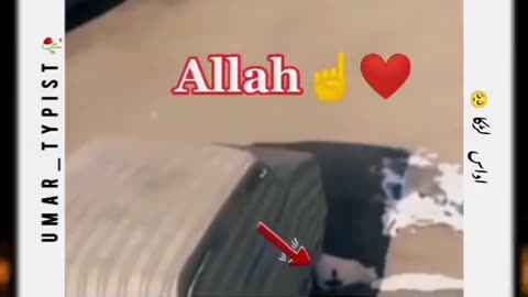 Mera dost jab Allah Ek Januar ko bhi Khali pait nahi rahna daita to Tum to insaan ho