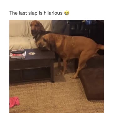 lets play tag your it but im not playin with you well neither am i sike all links #real