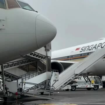 ياخسارة الرحله