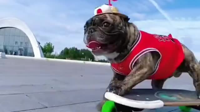 Sobre la técnica del skate. Es mejor que yo