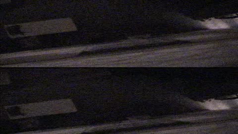 4002BGCO01WestHall_2021-01-05_04h40min01s623ms_1.mp4