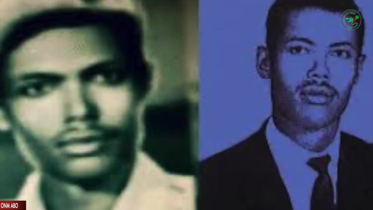 Qophii Faana Seenaa ONM-ABO Onkoloolessa 30-2024 itti dhiyaadhaa!