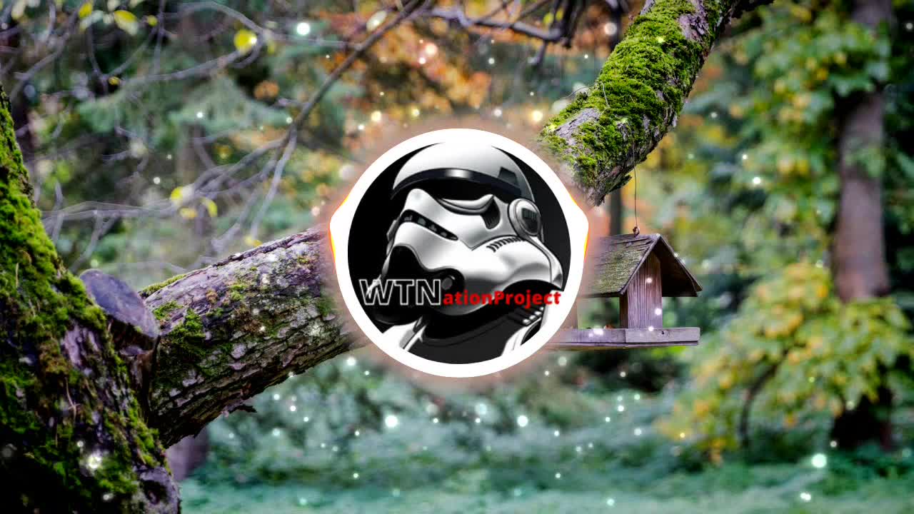 Sofia Vargas - Cool - Free Background music - Musica sem Direitos Autorais - WTNationProject