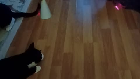 Play time