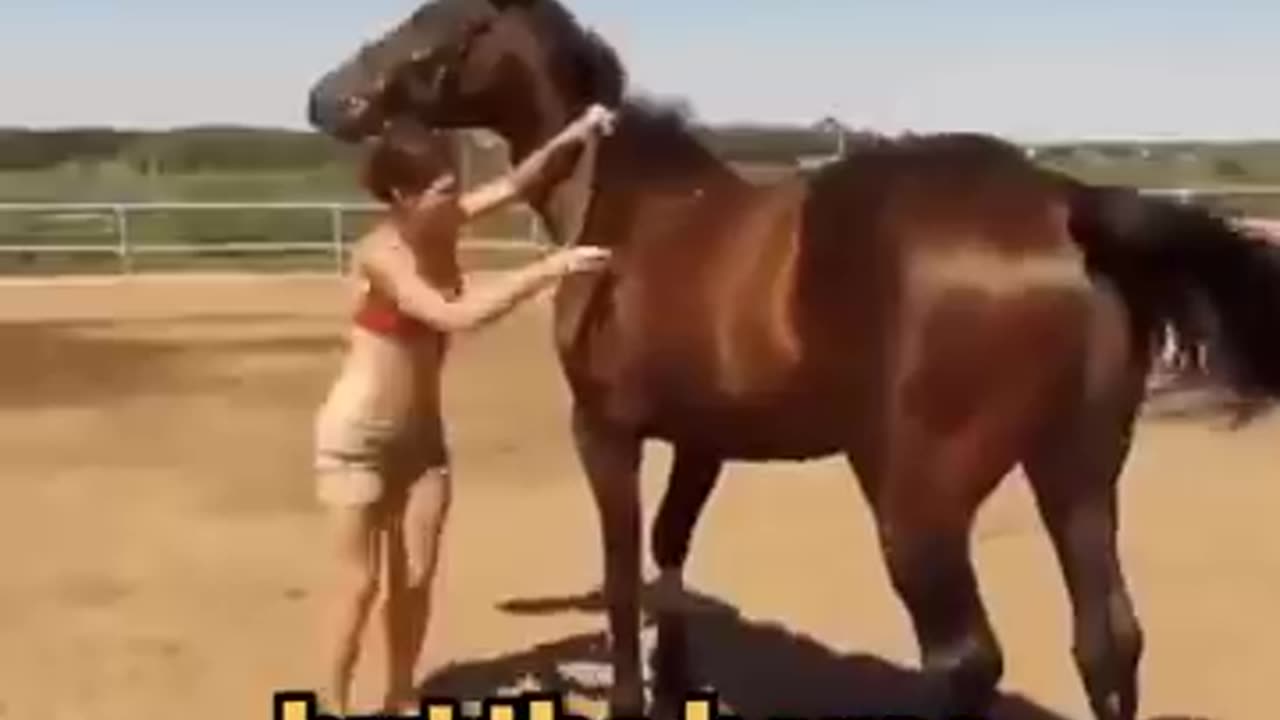 Smart Horse