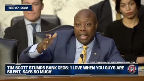 ‘I Love When You Guys Are Silent, Says So Much’: Tim Scott Stumps Bank CEOs