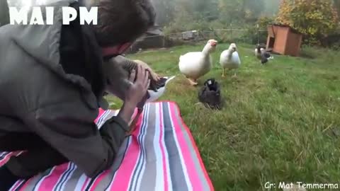 Animals have special Way to say Love YOU to Human cute Animals videos