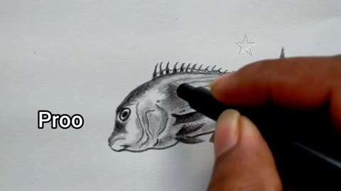 how to draw a fish art