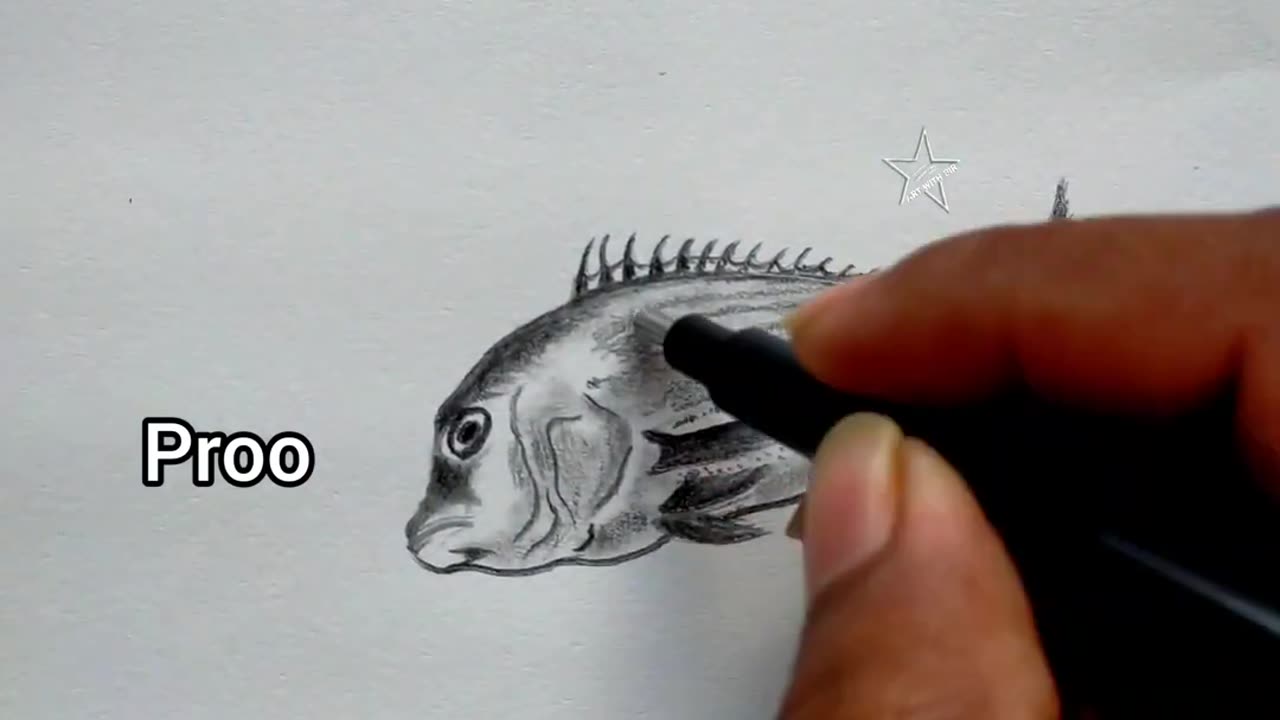 how to draw a fish art