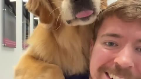 Mr. Beast