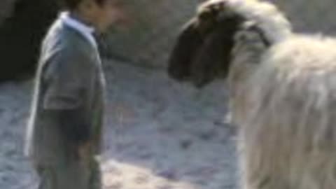Got funny scene