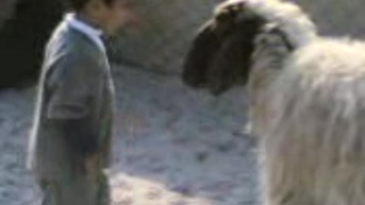 Got funny scene