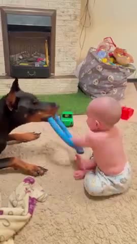"Heartwarming Moments: Adorable Dog and Baby Boy's Playtime Adventure!"