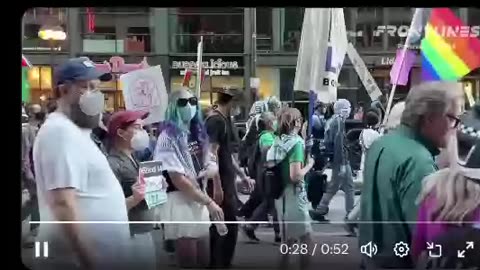 Insane Far Leftist Mob at the DNC