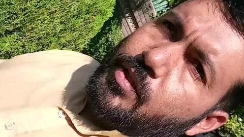 Today Vlogs
