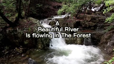 A Beautiful River Is Flowing In The River