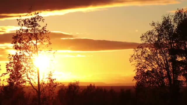 Nature Landscape At Late Evening Video