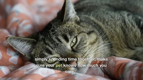 Tips! For Healthy Pet!