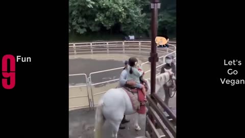 Try not to Laugh