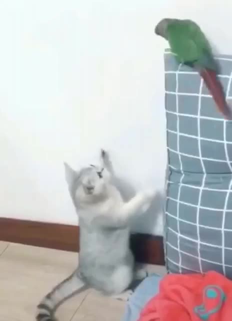 Sneaky little buggers 🤣