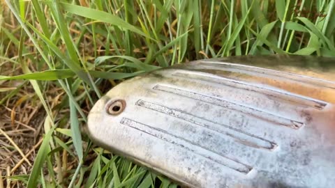 Restoration Rusty Old Motorcycle JAWA | 1960s two stroke engine _ Abandoned Brok