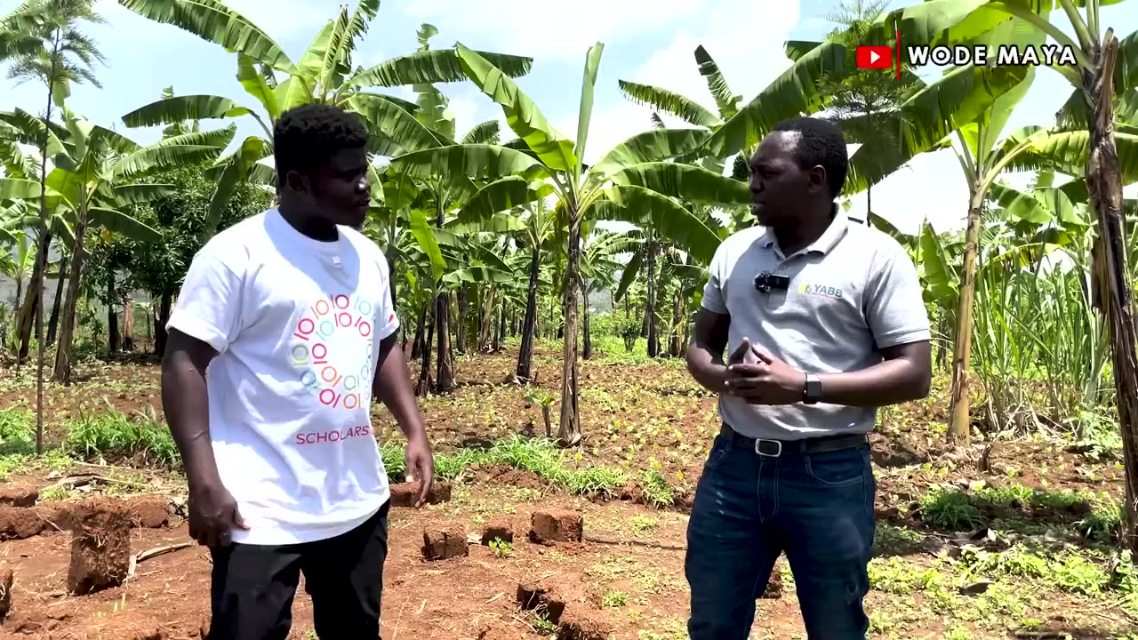 How A Young Rwandese Empowers 5000 Farmers In Rwanda 🇷🇼