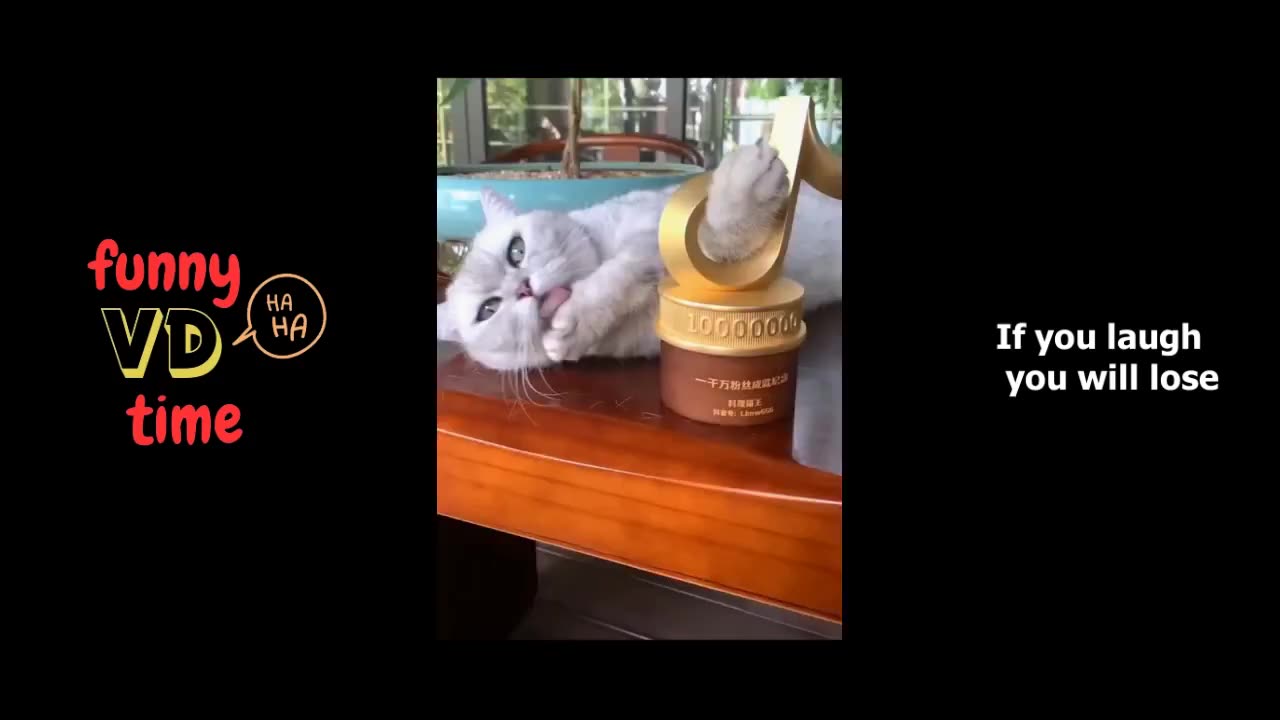 The End 🤣🤣🤣 | Funny Video | Try Not To Laugh