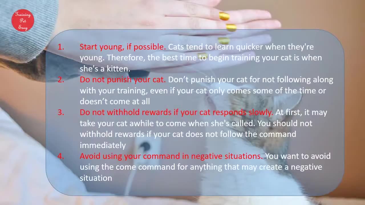 importance of training your cat