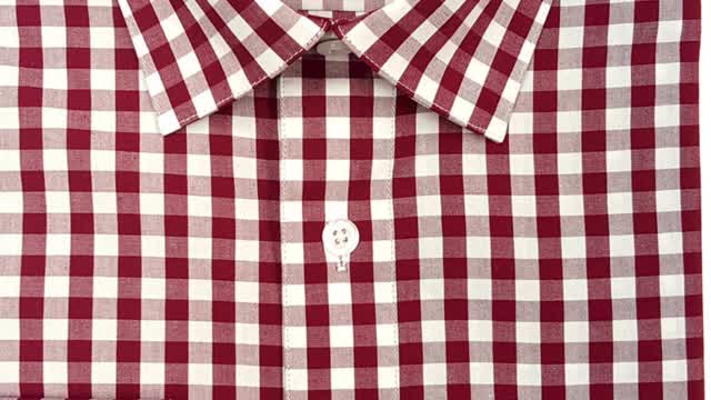 The Gingham Shirt